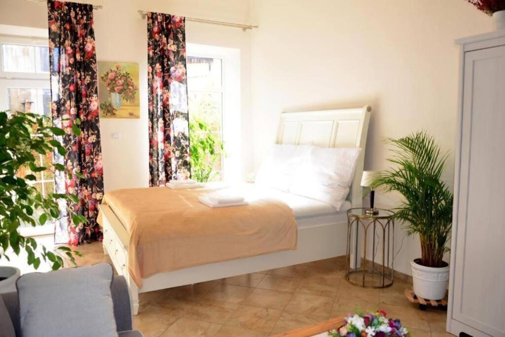 Apartment Elizabeth 1 Košice Buitenkant foto
